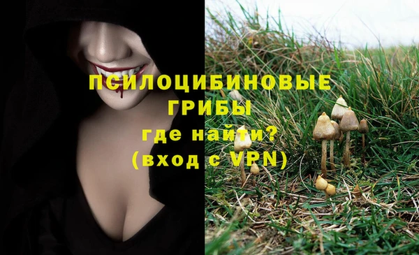молекула духа Кулебаки