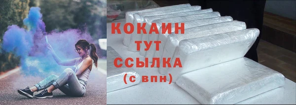 молекула духа Кулебаки