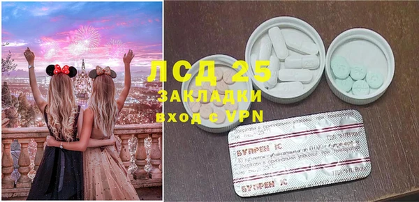 молекула духа Кулебаки