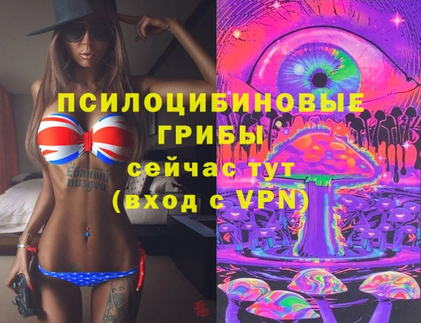 молекула духа Кулебаки